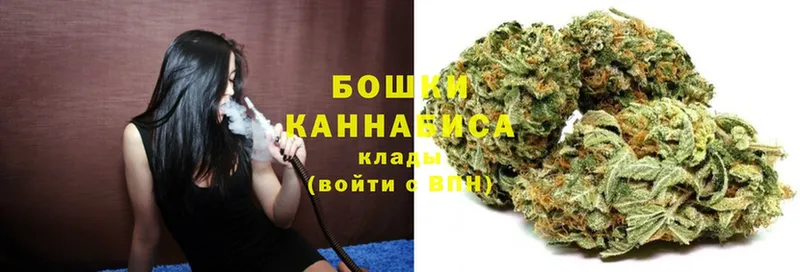 Конопля SATIVA & INDICA  Будённовск 